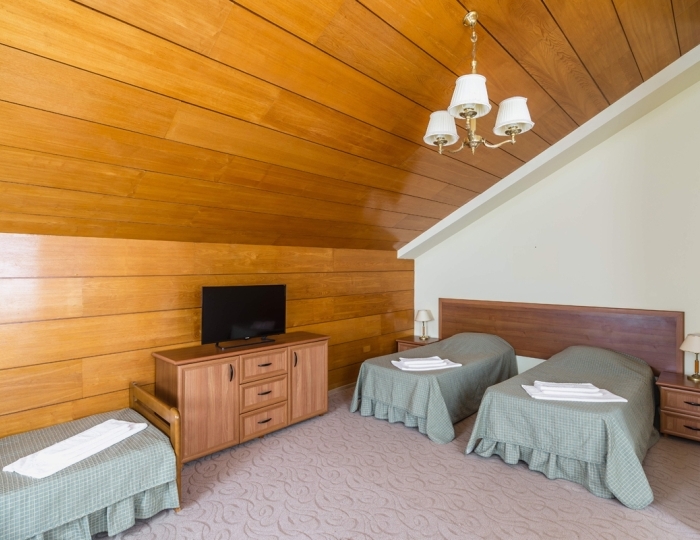 Полулюкс парк 2-местный 1-комнатный - Санаторий «Понизовка» Ялта