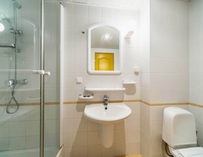 Стандарт парк 2-местный 1-комнатный - Санаторий «Понизовка» Ялта