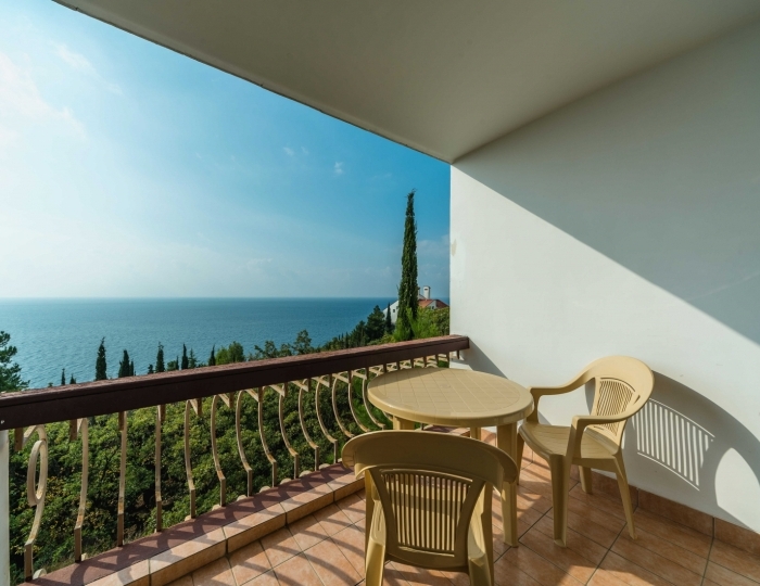 Стандарт море 2-местный 1-комнатный - Санаторий «Понизовка» Ялта